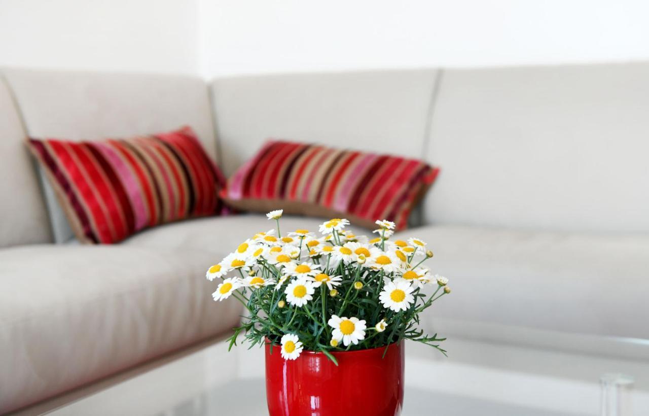 רייקה Divia Apartment מראה חיצוני תמונה